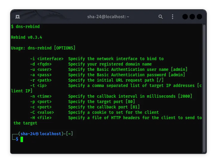 DNS Rebinding